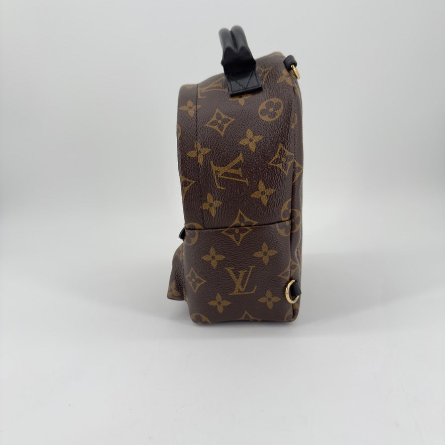 Louis Vuitton Palm Springs Mini Backpack – Monogram Canvas – Brown