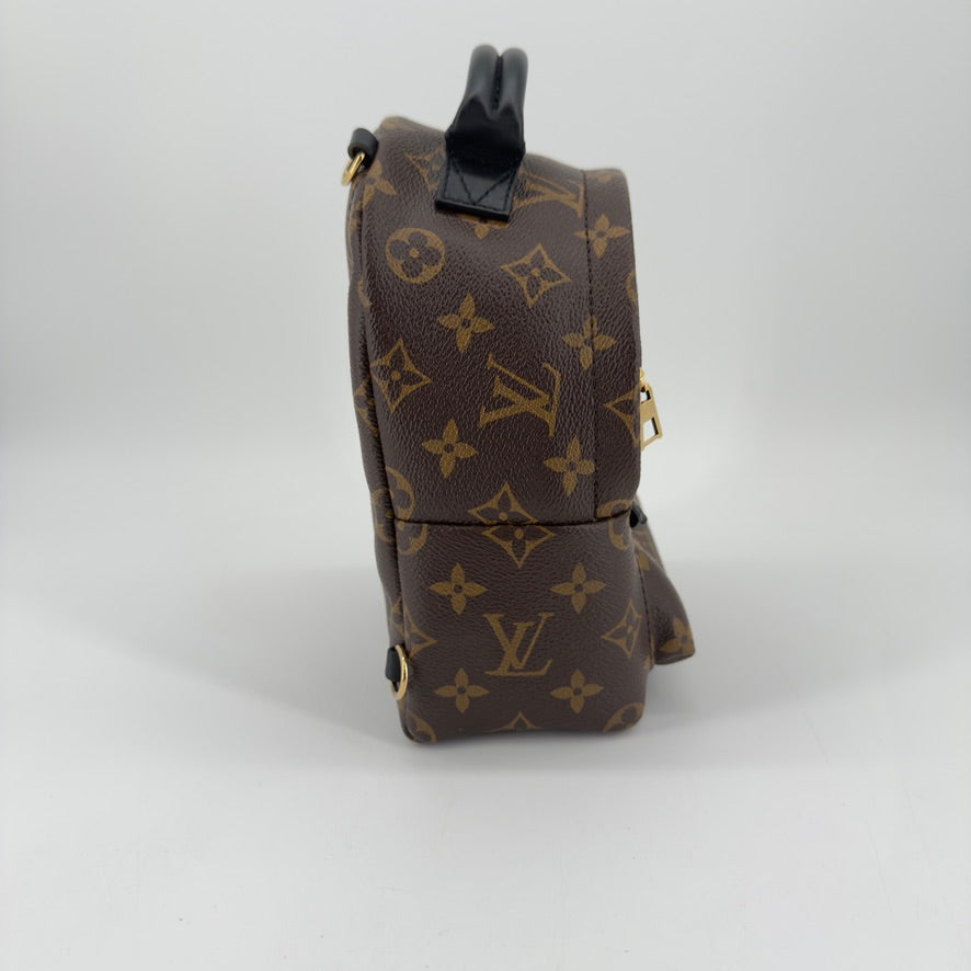 Louis Vuitton Palm Springs Mini Backpack – Monogram Canvas – Brown