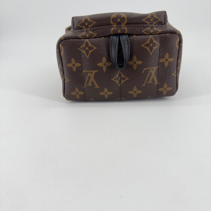 Louis Vuitton Palm Springs Mini Backpack – Monogram Canvas – Brown