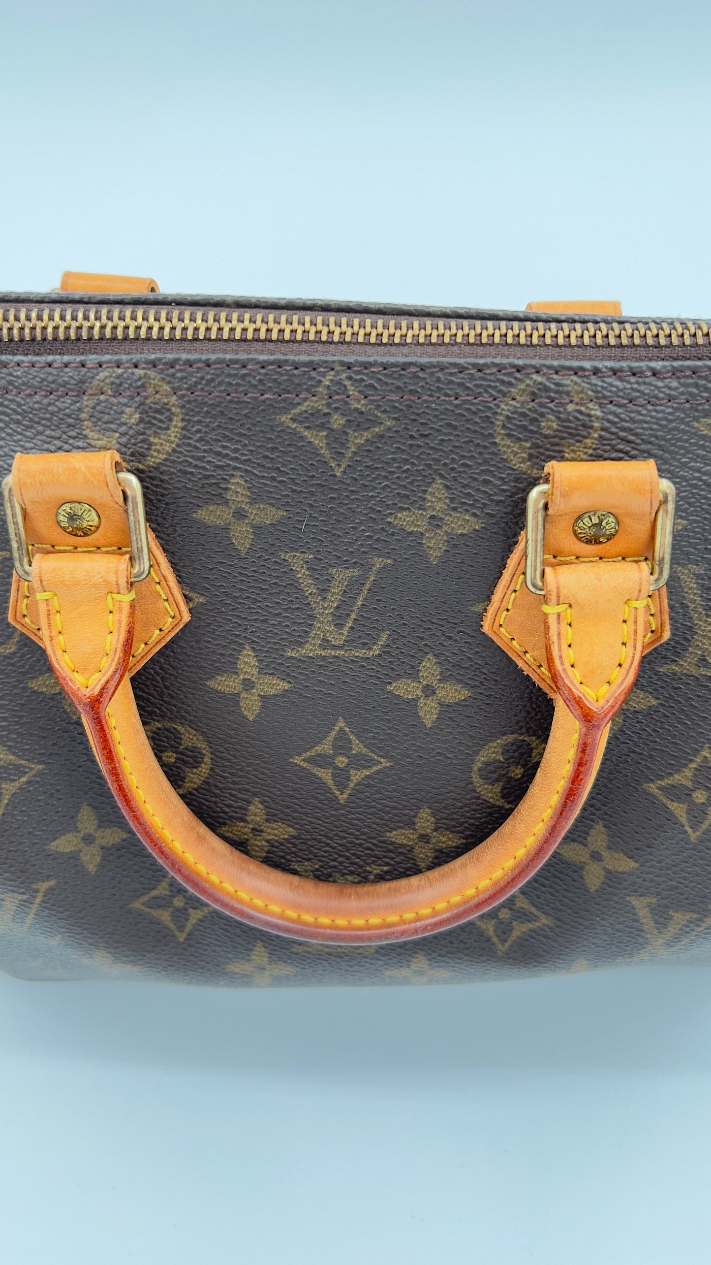 Pre-Loved Louis Vuitton Speedy 25 Monogram Handbag