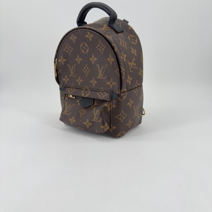 Louis Vuitton Palm Springs Mini Backpack – Monogram Canvas – Brown