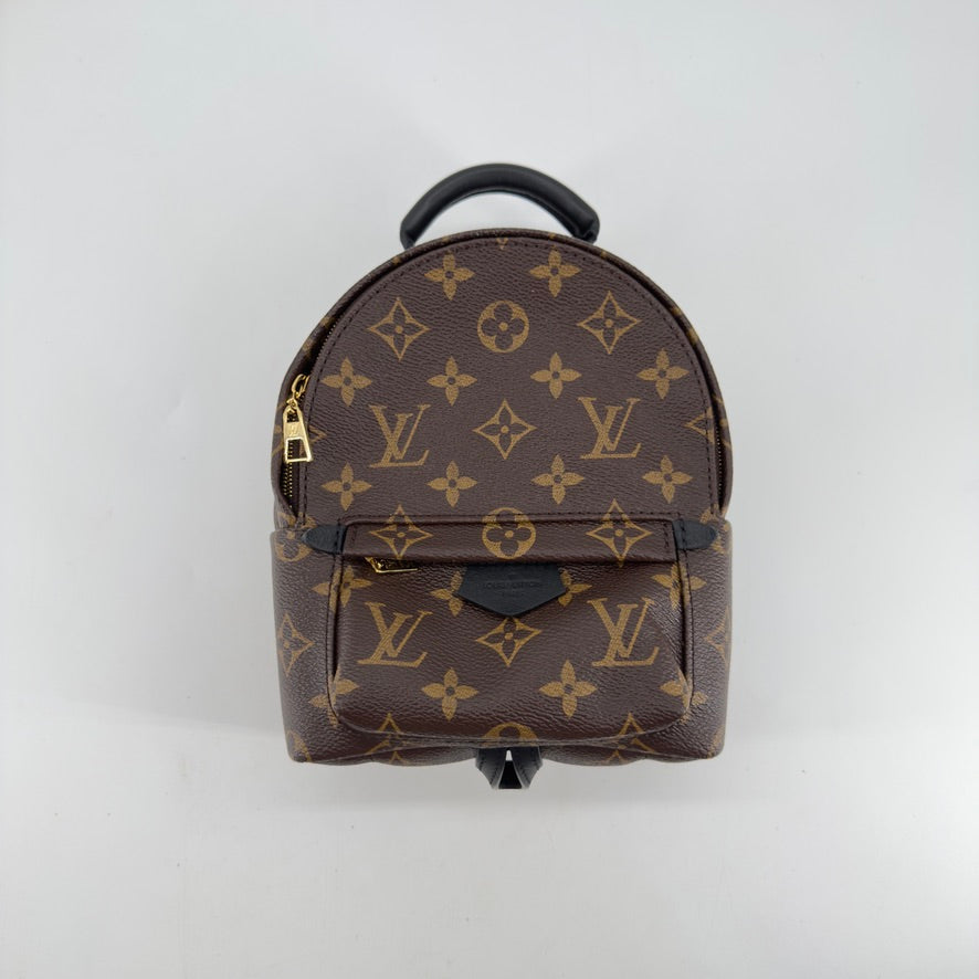 Louis Vuitton Palm Springs Mini Backpack – Monogram Canvas – Brown