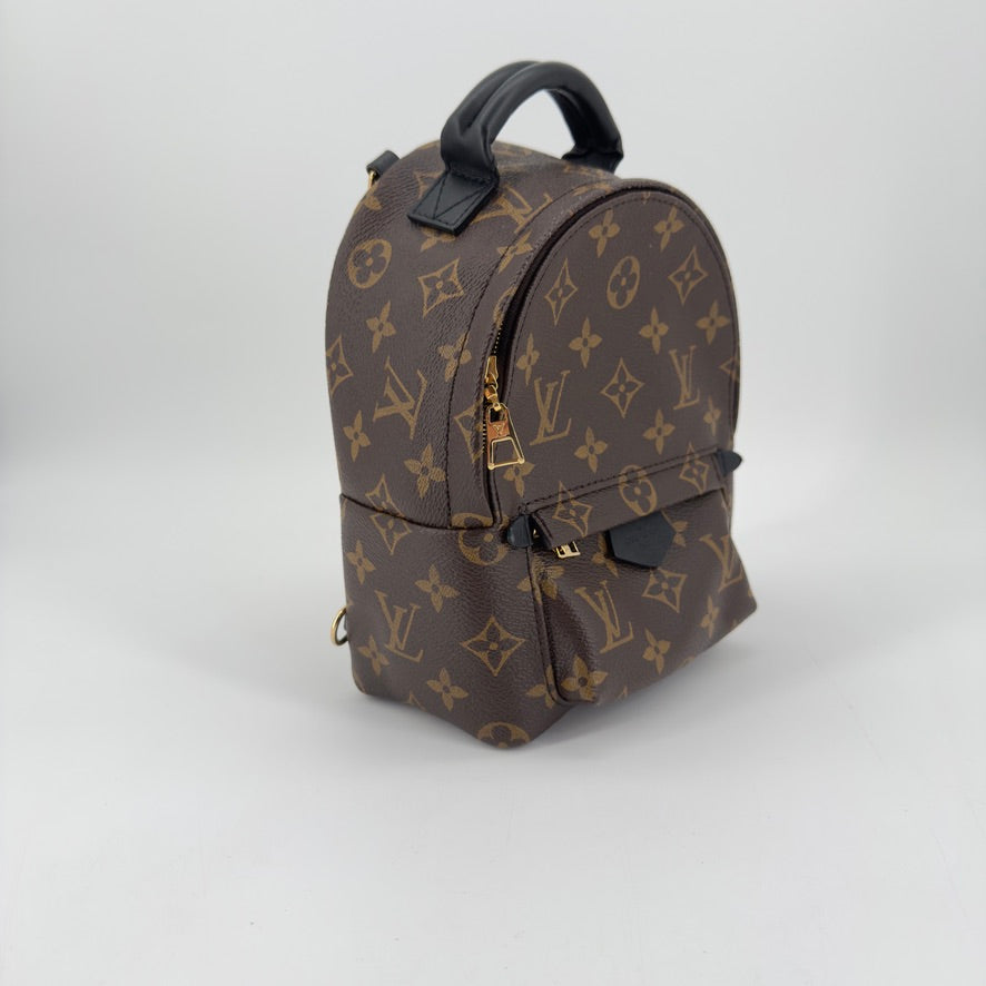 Louis Vuitton Palm Springs Mini Backpack – Monogram Canvas – Brown