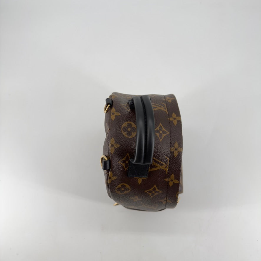 Louis Vuitton Palm Springs Mini Backpack – Monogram Canvas – Brown