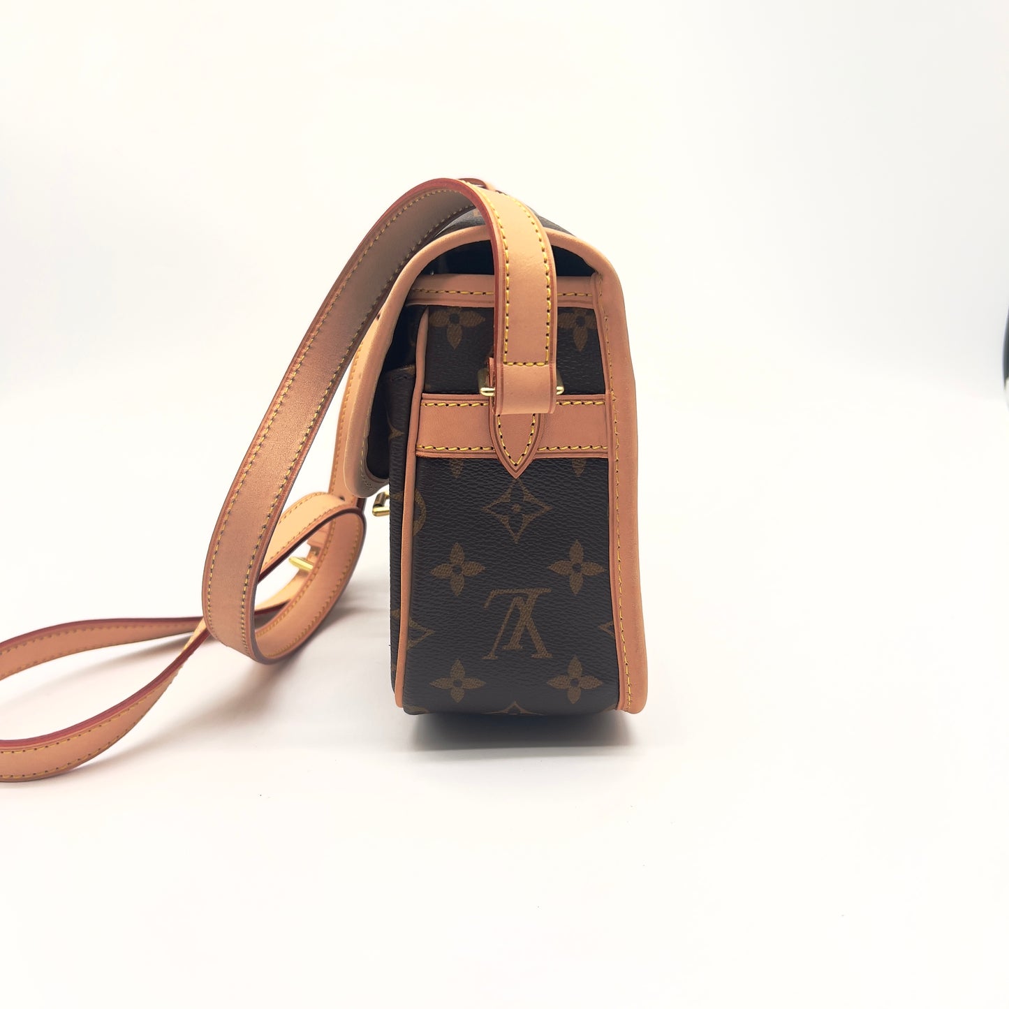 Pre-Loved Louis Vuitton Sologne Monogram Crossbody