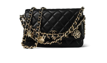 Chanel Lambskin WOC - photo 2